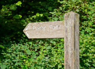 Clackmannanshire Council Launches Citizen-Led Transformation to Rethink Public Services