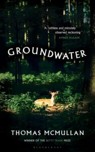 Book Cover: Groundwater