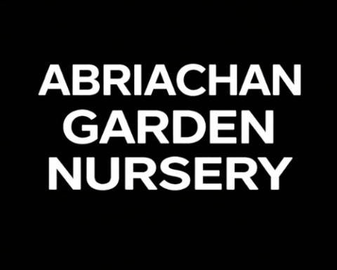 Abriachan