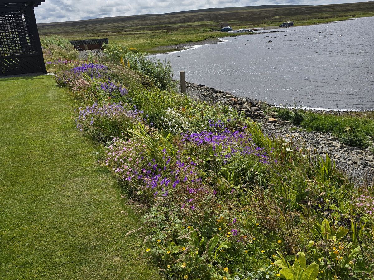 Featured visual for “Lochwood Cottage Open Garden”