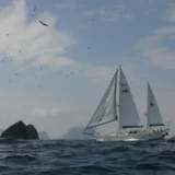 Featured visual for “Silurian Research Expedition”
