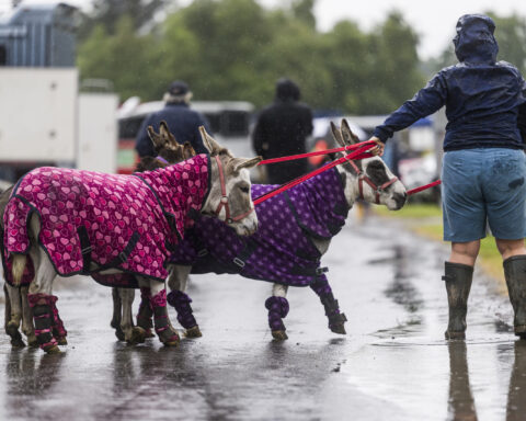 Turriff Show 2025 Day one 002