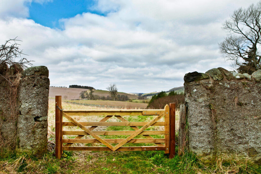 8573186 wooden gate