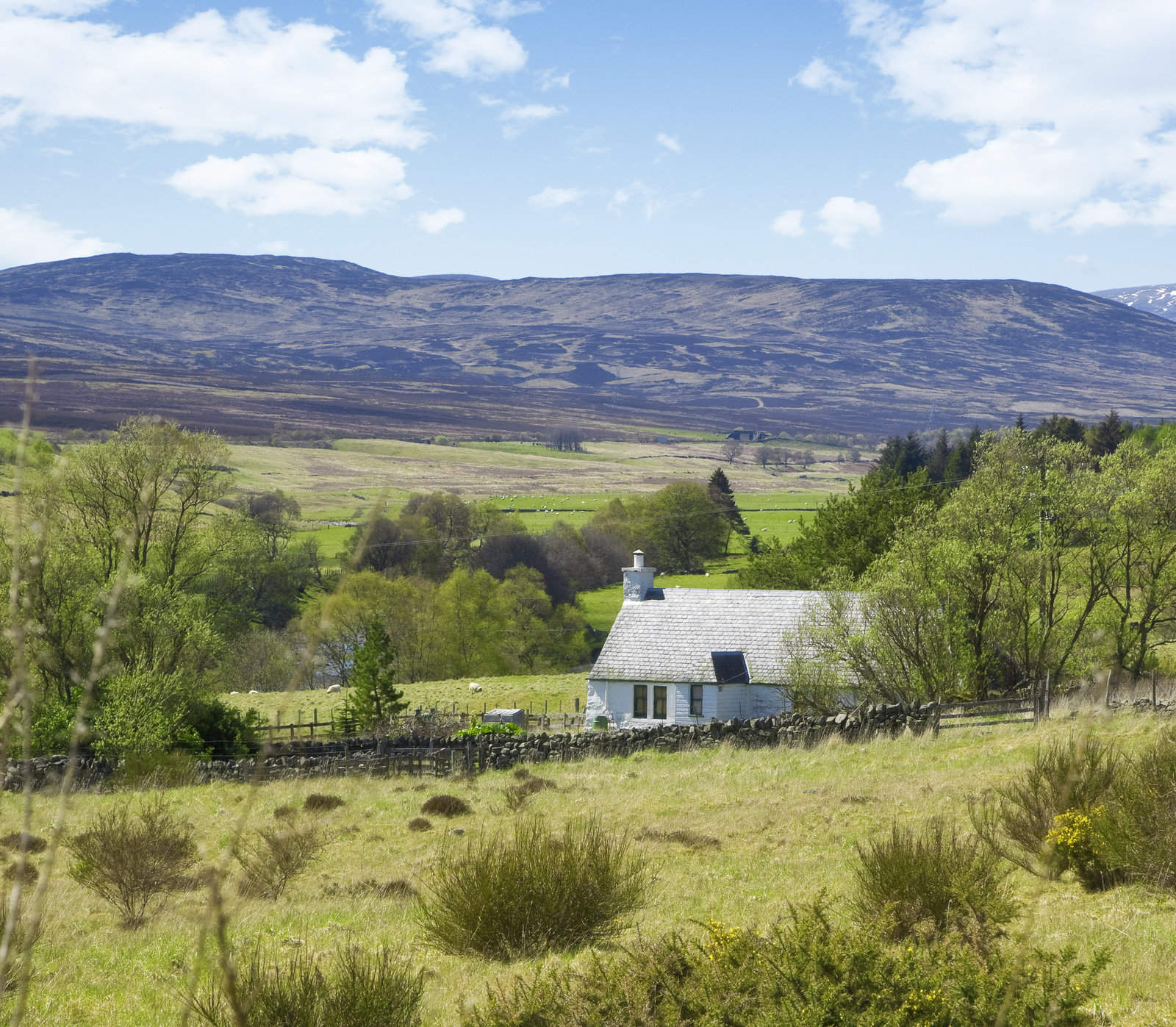 1562509 lonely cottage in the highlands