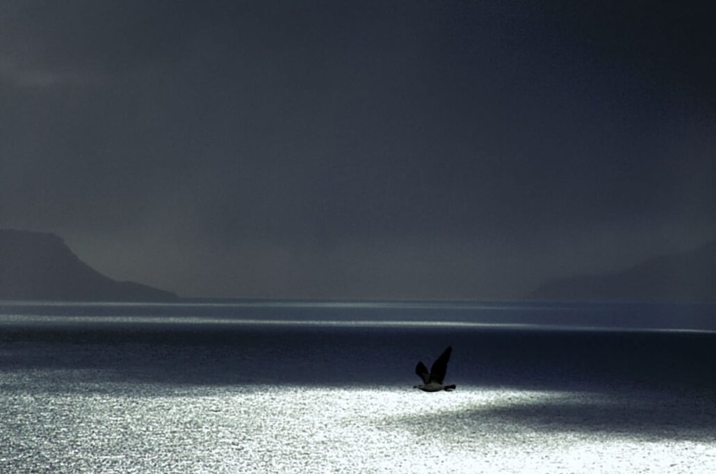 65337296 a storm is approaching