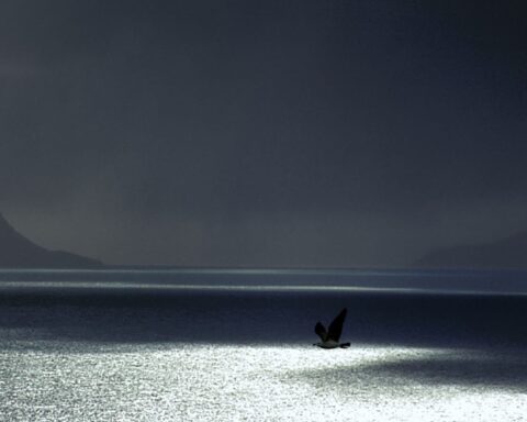 65337296 a storm is approaching