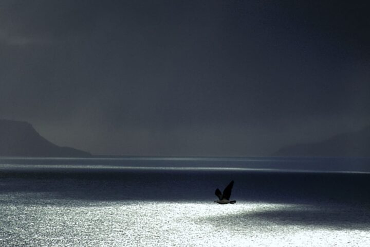 65337296 a storm is approaching