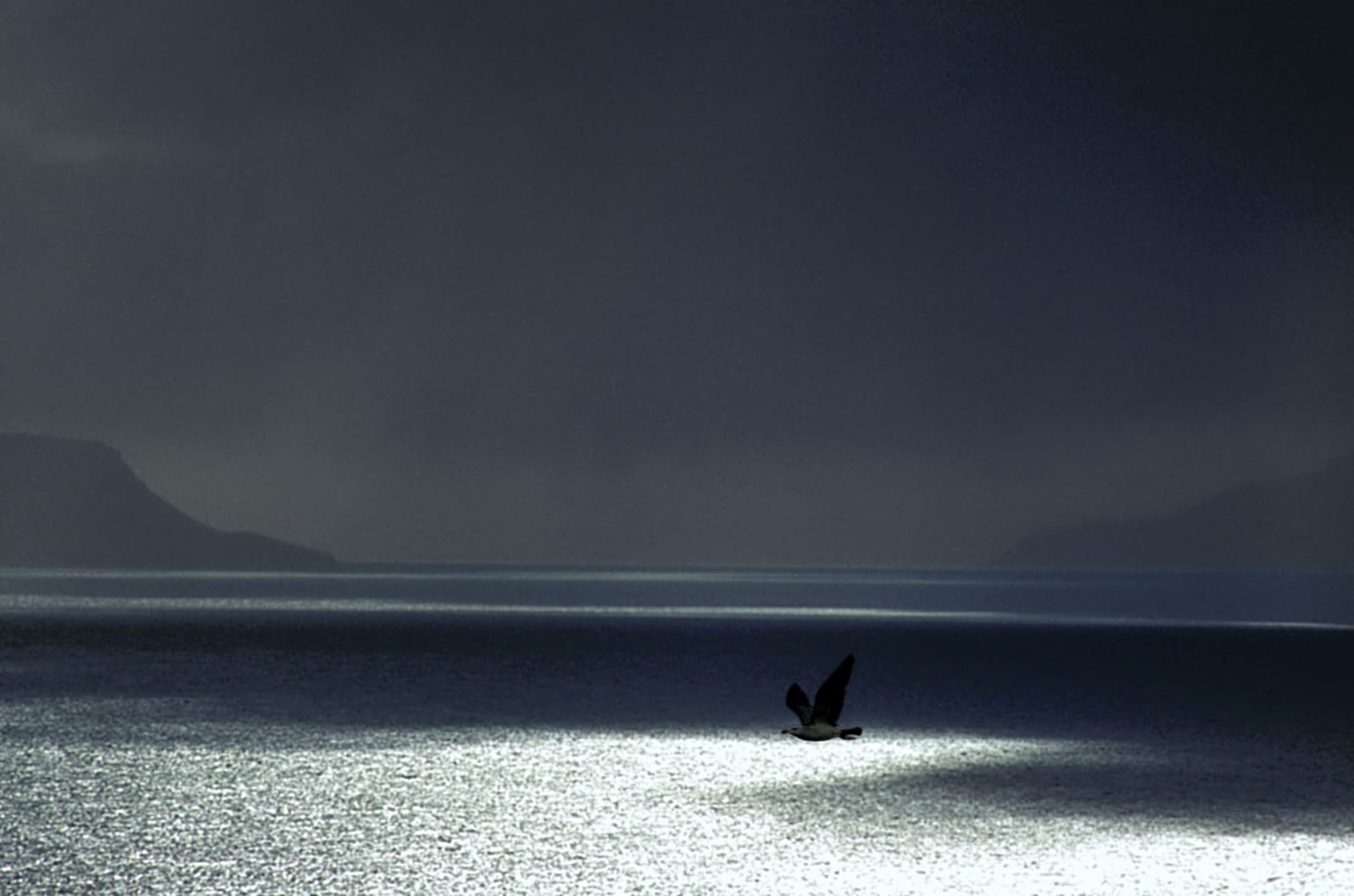 65337296 a storm is approaching