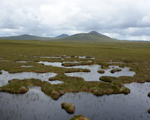 19717696 flow country bog land