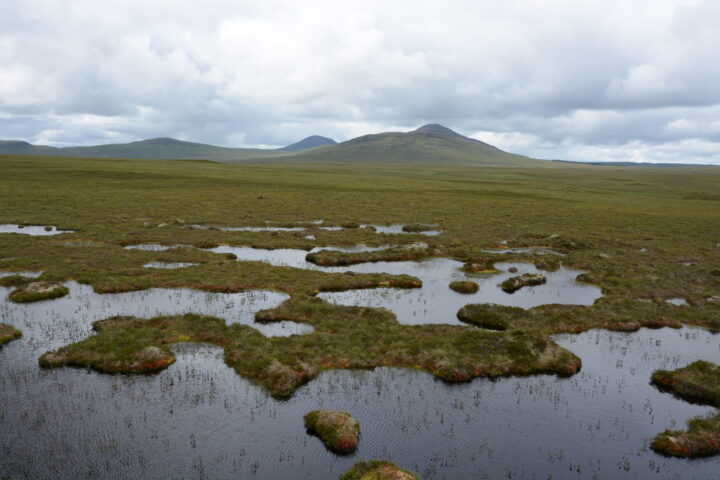 19717696 flow country bog land