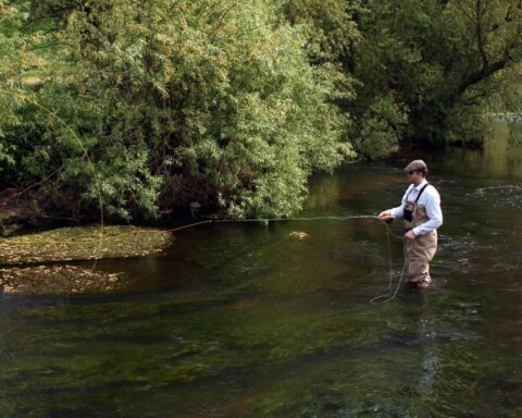 Fly fishing in the River Eden, Scotland