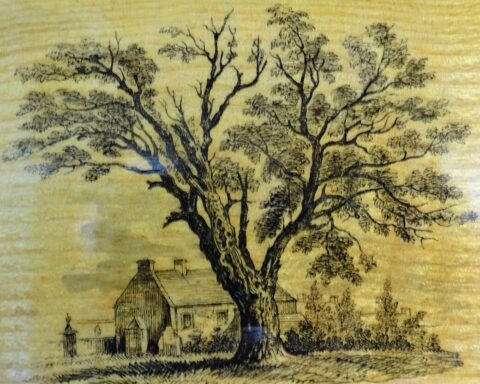Burns Poetical Works, Old Kirk end tree transfer, Mauchline ware