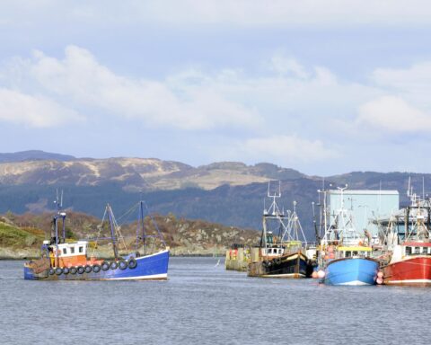 4234328 fishing boat coming into harbor