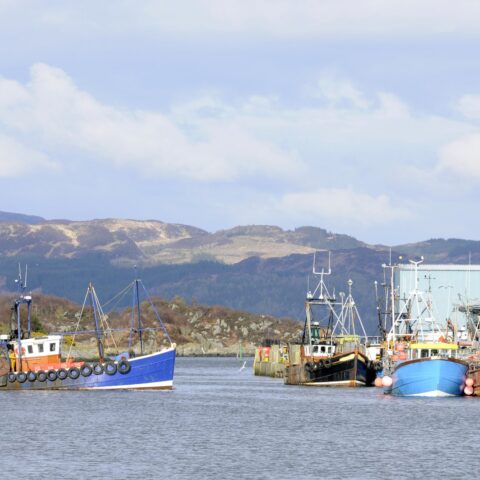 4234328 fishing boat coming into harbor