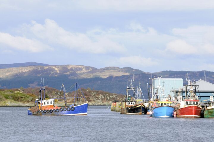4234328 fishing boat coming into harbor