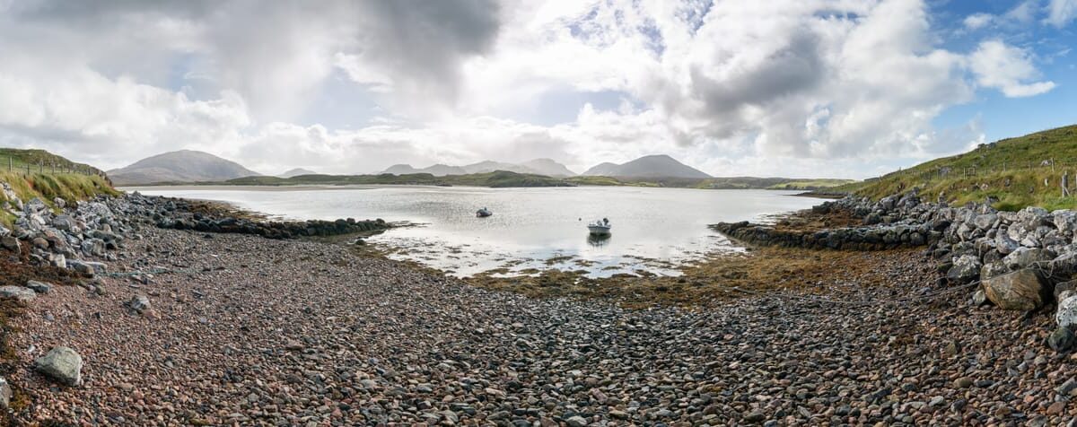 Bluetongue Zone Goes Nationwide in Scotland as H5N5 Returns to Lewis