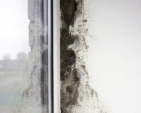 81975258 mold near the windows fungus on the walls of the house metal plastic windows are not properly installed