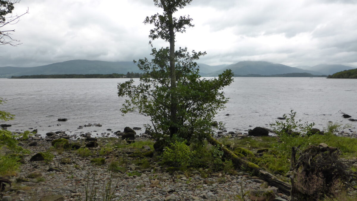 Loch Lomond, photographed near Balmaha, west of Drymen. Two people died when a light aircraft crashed north east of Drymen on 16 October 2026. This is a geographical illustration