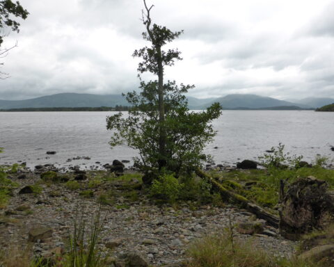 Loch Lomond, photographed near Balmaha, west of Drymen. Two people died when a light aircraft crashed north east of Drymen on 16 October 2026. This is a geographical illustration