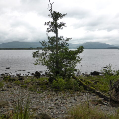 Loch Lomond, photographed near Balmaha, west of Drymen. Two people died when a light aircraft crashed north east of Drymen on 16 October 2026. This is a geographical illustration
