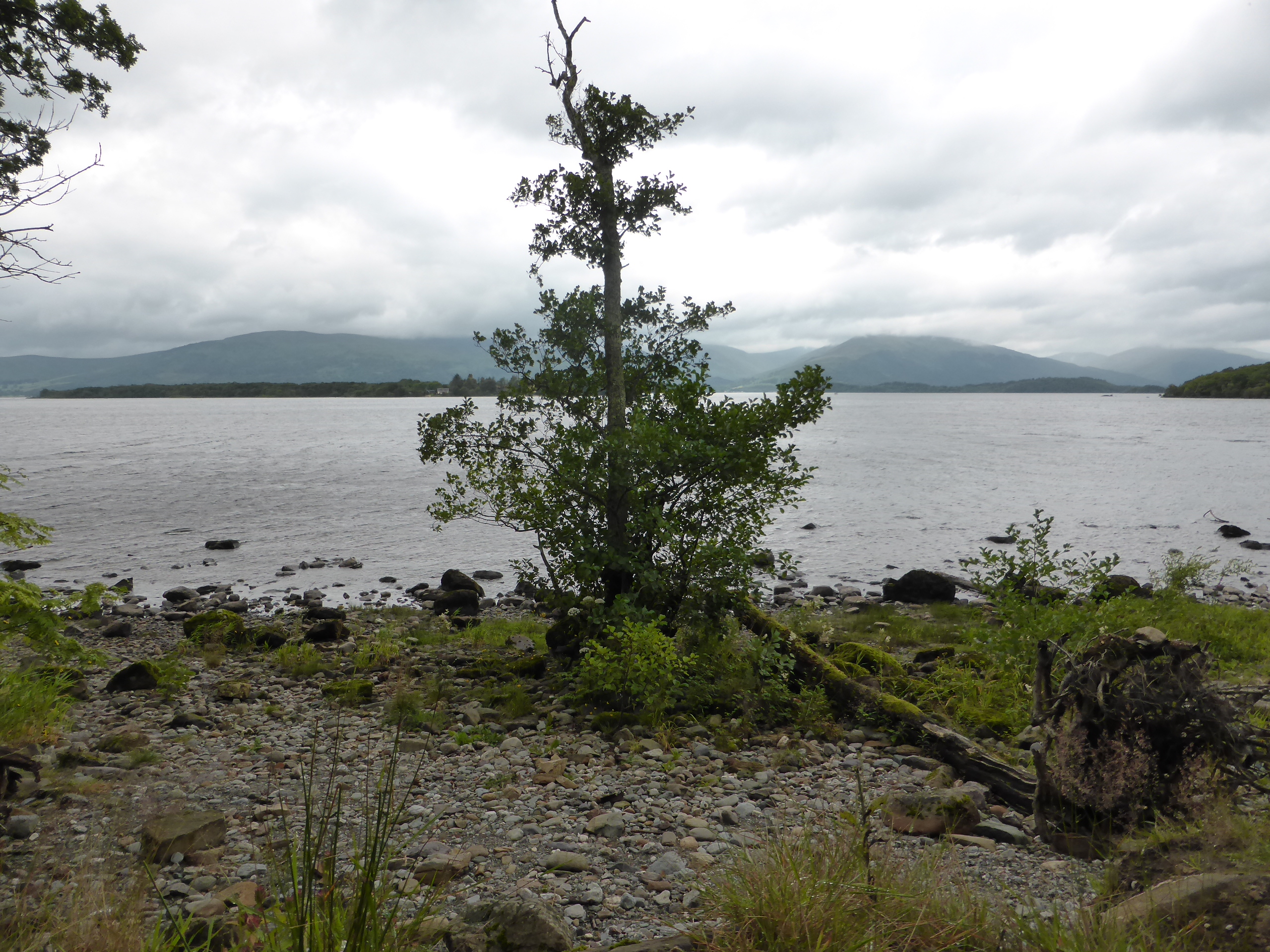 Loch Lomond, photographed near Balmaha, west of Drymen. Two people died when a light aircraft crashed north east of Drymen on 16 October 2026. This is a geographical illustration